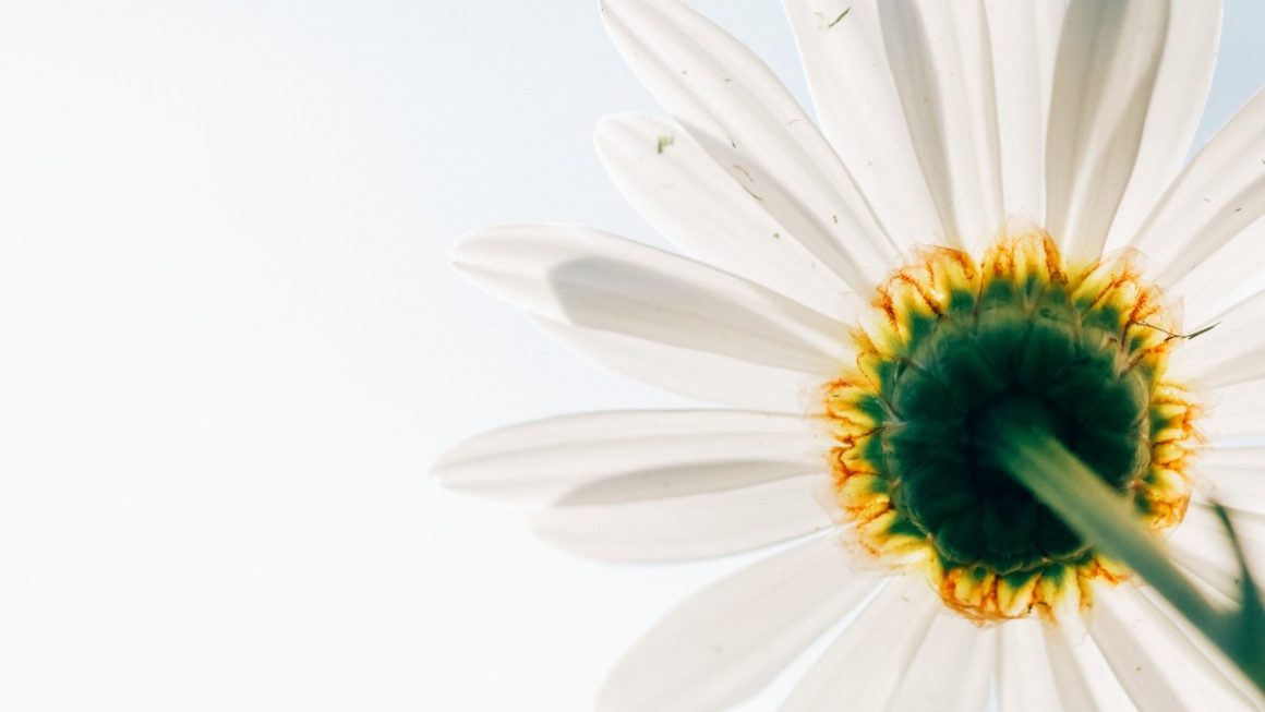 Der Weg einer alten Frau